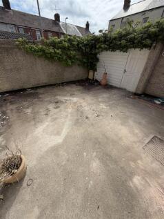 IMG_2238.JPEG