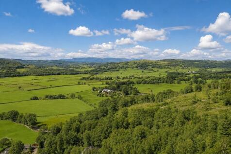 Lakeland Views