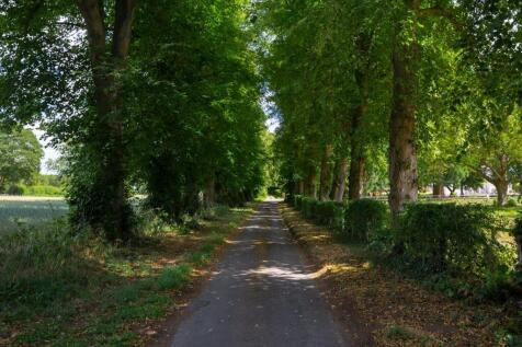 Tree-lined Approach