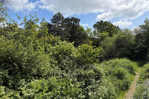 Adjacent woodland