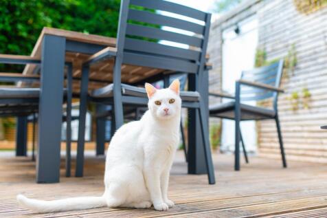 Award-winning Media team on EVERY Listing_39