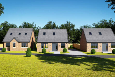 IMG_1497_1_origin...