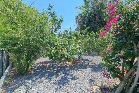 gardens, fruit trees