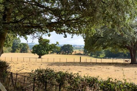 Property Views