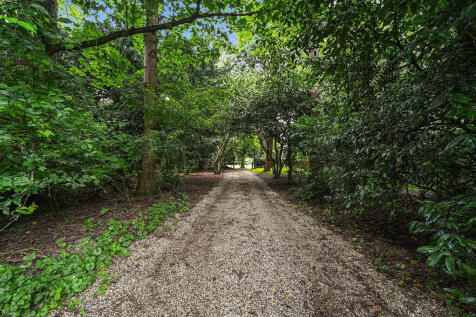 PT-DB(WP)-WillowH...