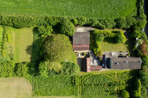 Plot
