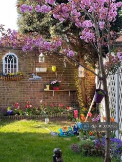 Garden Springtime Picture