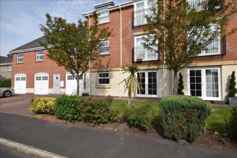 Main Picture