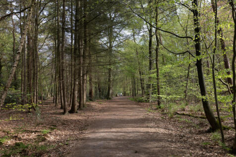 Montenspark 1 4837 CD BREDA image 28