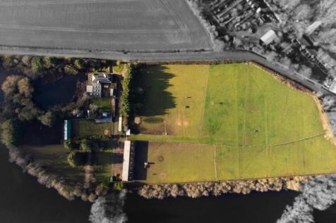 Birds Eye