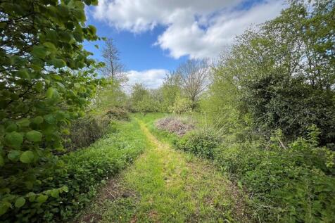 brookcopse.jpg
