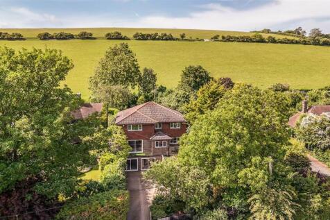 Walnut Grove Drone-8.jpg