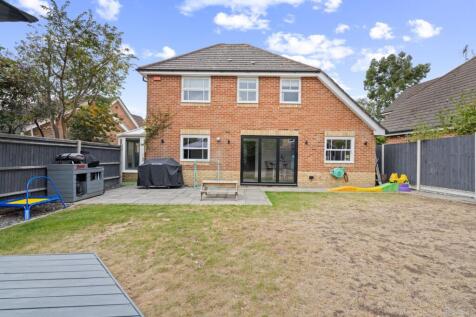 Rear aspect