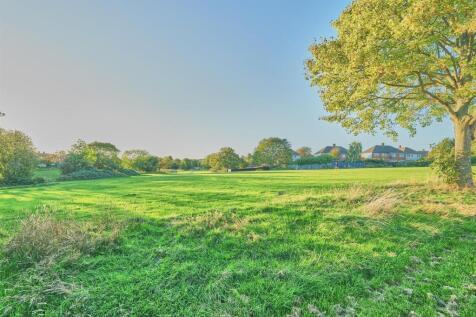 Farm Road_10.jpg