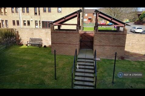 Back Garden