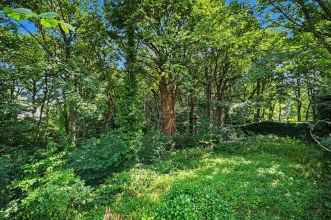 WOODED ASPECT
