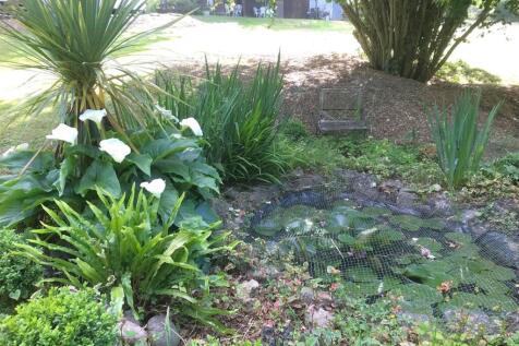 garden 7.jpg