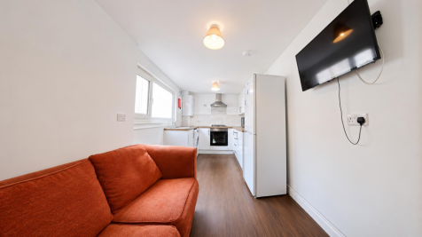 Living Room / Kitchen