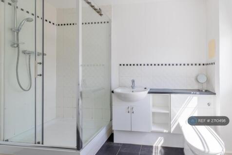 Second Toilet With Standing Shower 