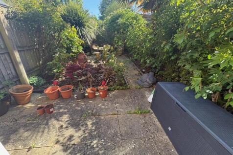 IMG_2292 (1).jpeg