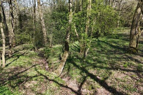 DJI_20260408133552_0327_D.JPG