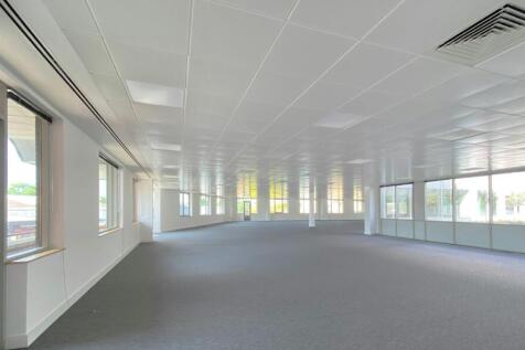 IMG_3477jpg cropped.jpg