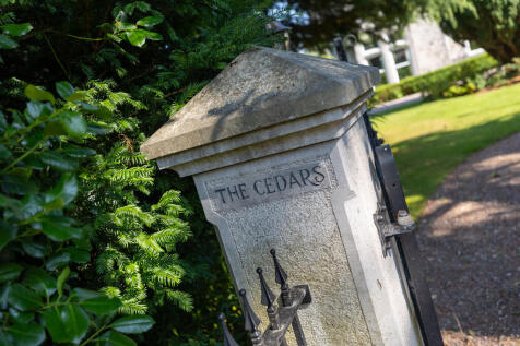 The Cedars