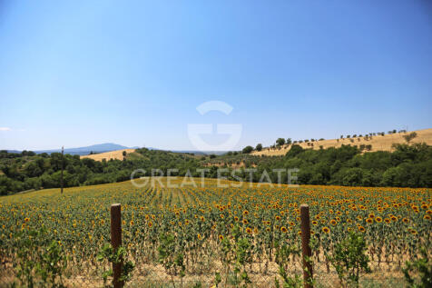 Panorama e Particolari