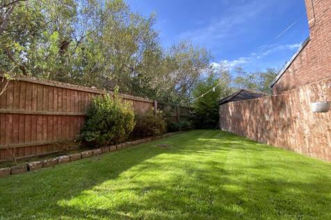 Back Garden 2