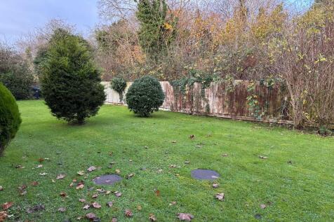 Photograph 7