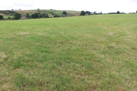 Farm Land for sale Image 7