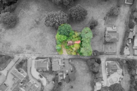 DJI_0985.jpg