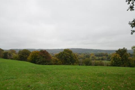 DSC_0145.JPG