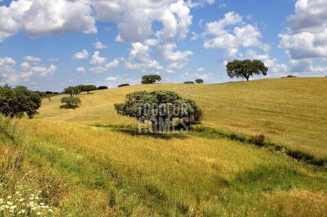 Alentejo