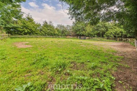 Sand School/Exercise Area