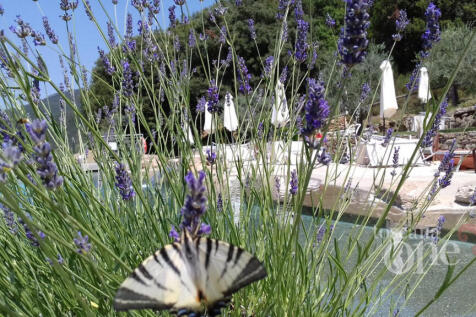 WhatsApp Image 2022-