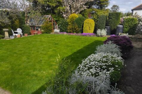 V garden image April 2025.jpg