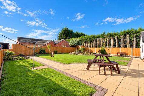 Sunny Suburban Garden with Picnic Table.jpg