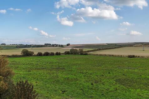 1-68ed387a27824-1365330-JPG (14).jpg