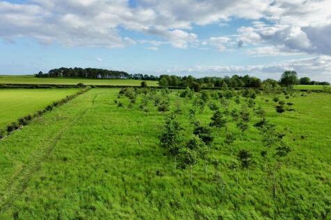 Farm Land for sale Image 5