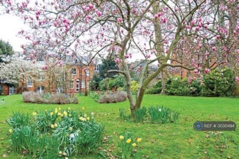 Communal Garden 