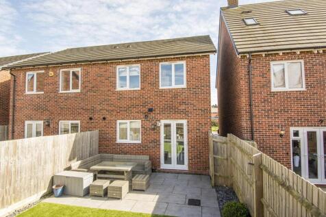 Rear Aspect