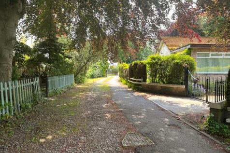 WhatsApp Image 2025-09-11 At 15.58.12 2e1def1e T202509111613.jpg