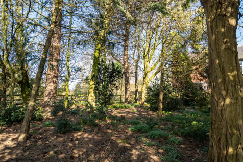 beechwood barmby ...