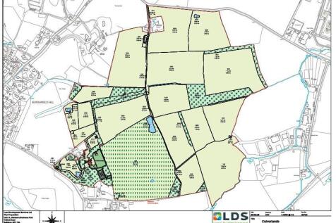 Estate Plan