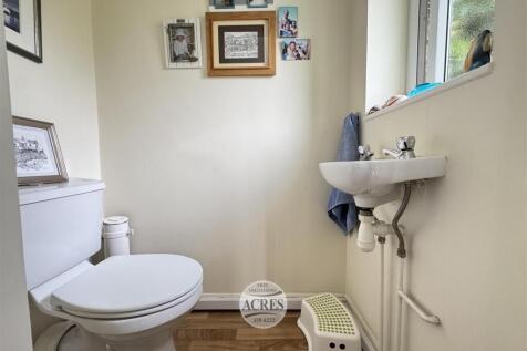 IMG_4874 (Large).jpg