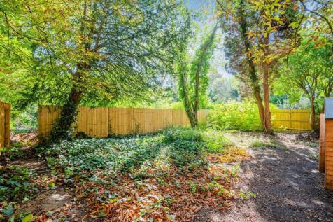 ASHLEY DOWNS (1).jpg