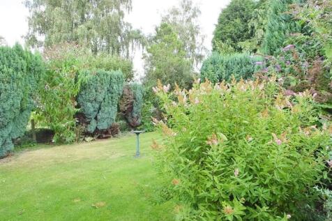 11 - rear garden.jpg