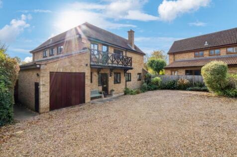 P1013245-2027e49ea368ca4882da469bb2bf02f7 - 800px.