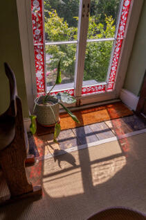 293567 - MYRTLE 19.6.25-103.jpg